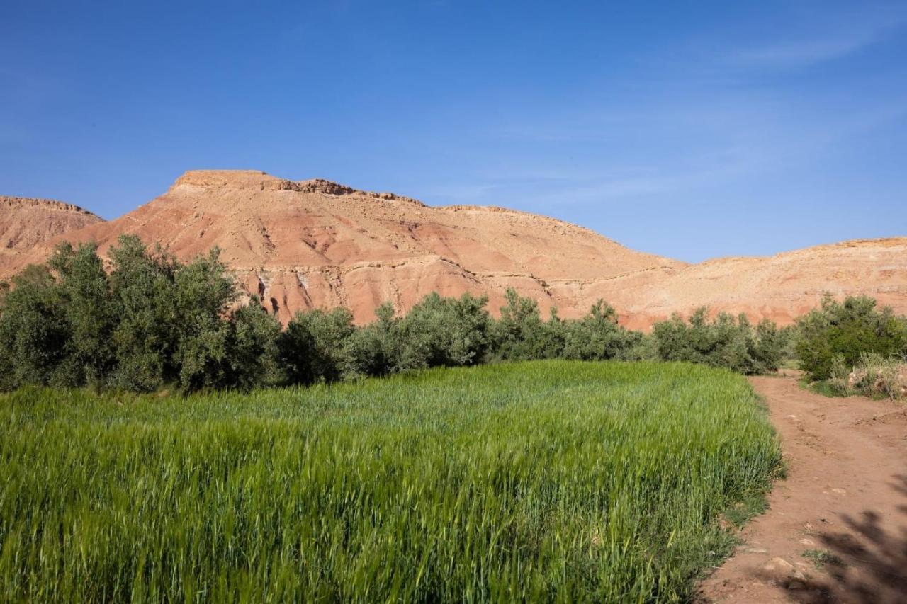 Riad Tigmi Du Soleil Ait Benhaddou Exterior photo