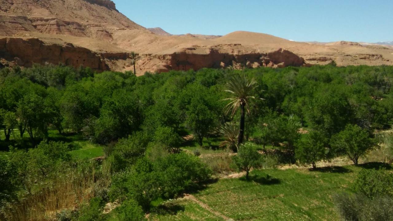 Riad Tigmi Du Soleil Ait Benhaddou Exterior photo